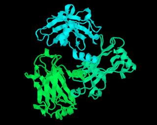 <span class="mw-page-title-main">RasMol</span> Software for the visualisation of macromolecules