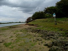 Ray Island - geograph.org.uk - 45909.jpg