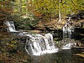 Ricketts Glen State Park, 24 named waterfalls