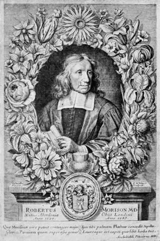 <span class="mw-page-title-main">Robert Morison</span> British botanist (1620–1683)