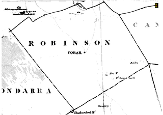 Nyngan Parish (Robinson County), New South Wales