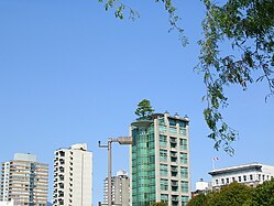 Um exemplo extremo de um jardim no telhado, em Vancouver, British Columbia