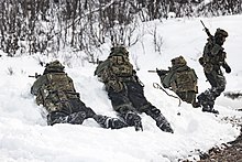 SRS Shore Reconnaissance Team personnel conducting an exercise. Royal Marines Winter Deployment 2022 FLEET-20220217-AJ0001-144.jpg