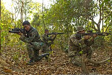 การฝึกร่วมผสมของทหารไทยและสหรัฐในการฝึกคอบร้าโกล์ด