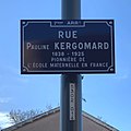 wikimedia_commons=File:Rue Pauline Kergomard (Lyon) - panneau de rue.jpg