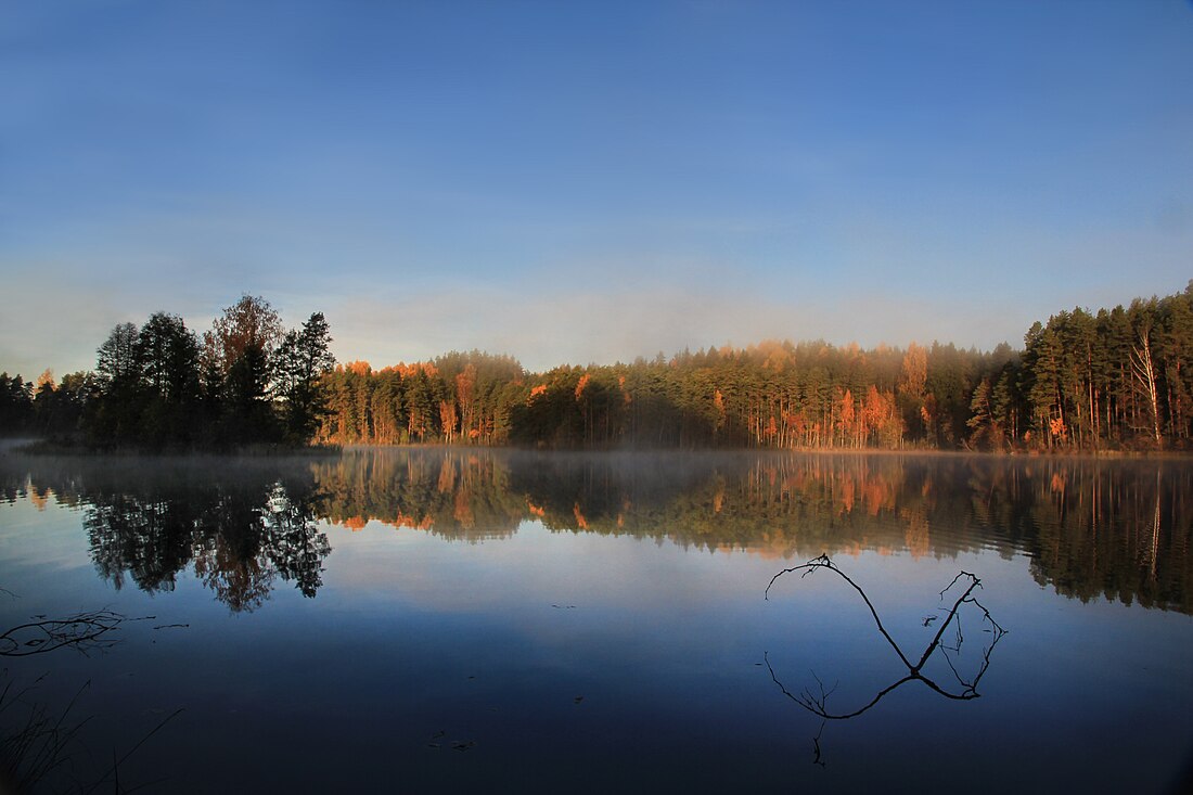 Suur Saarjärv