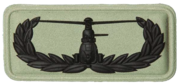 Air Assault badge