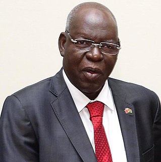 Salif Diallo Burkinabé politician