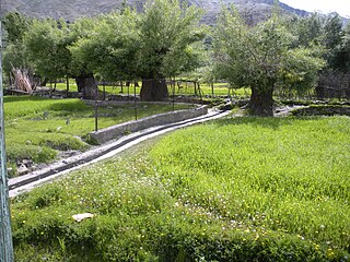 <span class="mw-page-title-main">Sankoo</span> Town in Ladakh, India