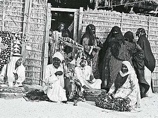 <span class="mw-page-title-main">Afro-Emiratis</span> Ethnic group