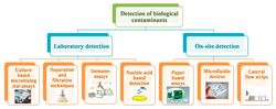 Thumbnail for Paper-based biosensor