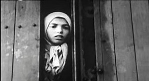 Romani Holocaust