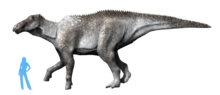Life restoration of a hadrosaur (Shantungosaurus) with grey colored-skin Shantungosaurus giganteus NT.png