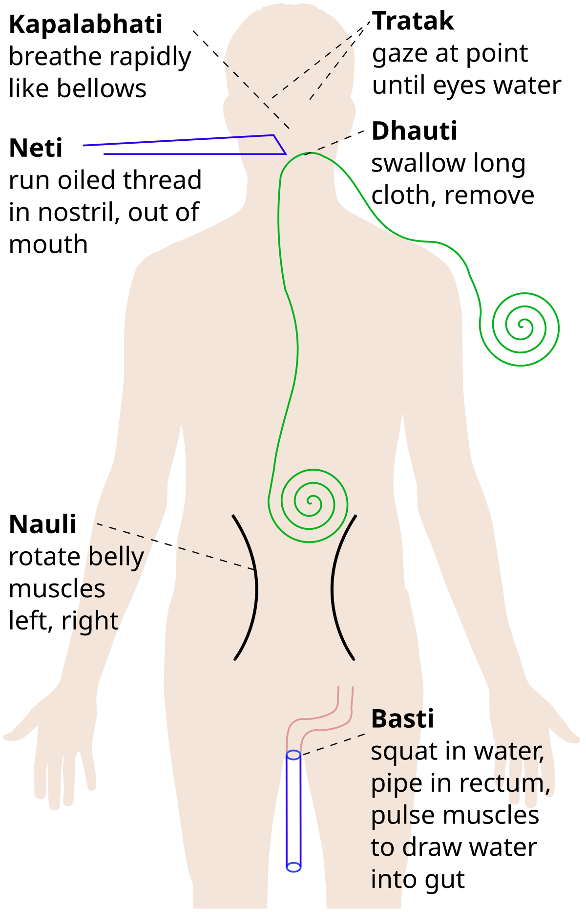 Chart On Kriya In Hindi