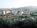 Veduta di Signa dal Castello-View of Signa from the Castle