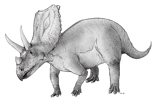 Sketch chasmosaurus2