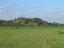 Motte of Skipsea Castle