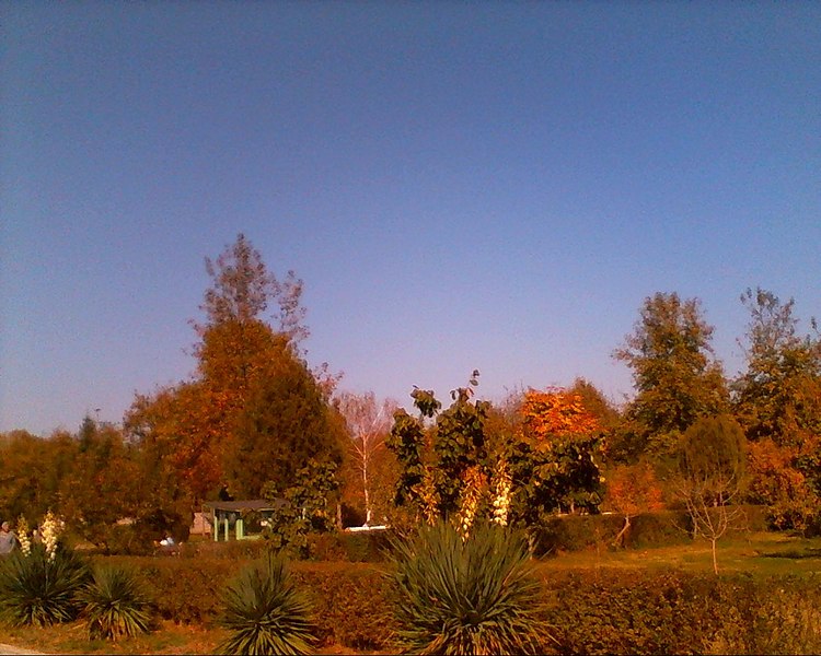 File:Snapshot 20131027 9.JPG