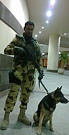 Soldier holding a German Shepherd on a leash.jpg