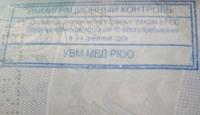 Оңтүстік Осетияға кіру Stamp.png