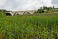 * Nomination Viaducts in Stańczyki, Poland. --CLI 13:16, 14 June 2013 (UTC) * Decline  Oppose Not 2Mpx and not very sharp --Christian Ferrer 05:21, 20 June 2013 (UTC)