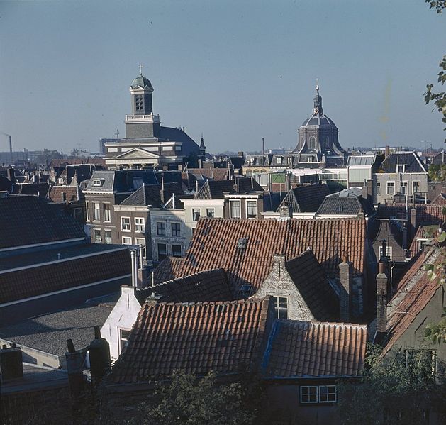 File:Stadsgezicht vanaf de Burcht naar het noorden - Leiden - 20382102 - RCE.jpg