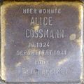 Stolperstein für Alice Cossmann (Hohe Pforte 22)