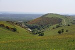 Stonehill Down Nature Reserve