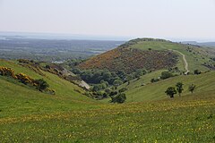 Stonehill Down Nature Reserve.JPG