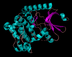 Structure of the human STK3 kinase domain.png