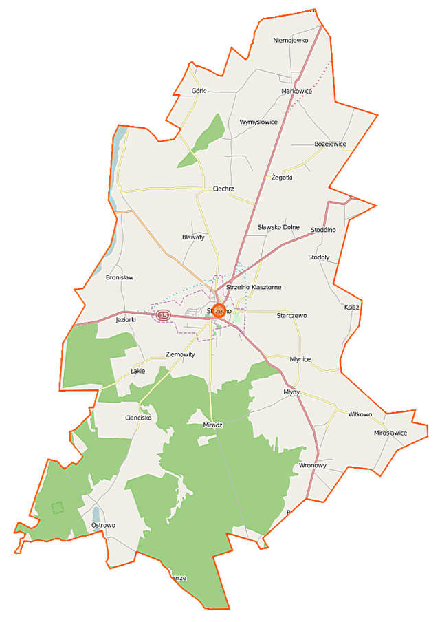 Mapa konturowa gminy Strzelno, w centrum znajduje się punkt z opisem „Strzelno”