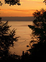 A sunset looking out from the trees near Caux, Switzerland.