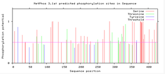 Predicted phosphorylation sites in human TMEM44 protein TMEM44 Phospho.png