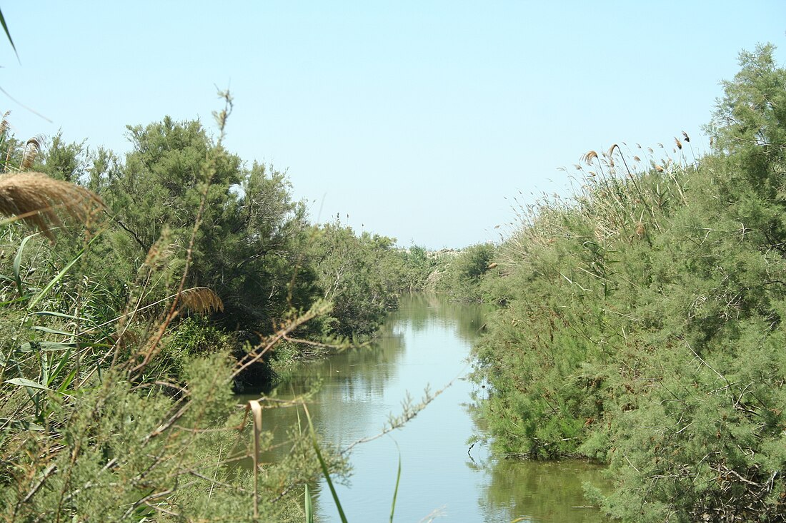 נחל תנינים