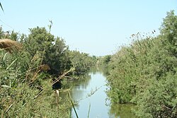 נחל תנינים: אזור השפך, היסטוריה, הסכר ומתקני המים