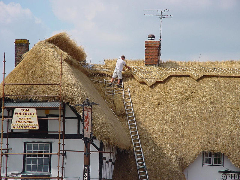 File:Thatching a roof (5465519400).jpg