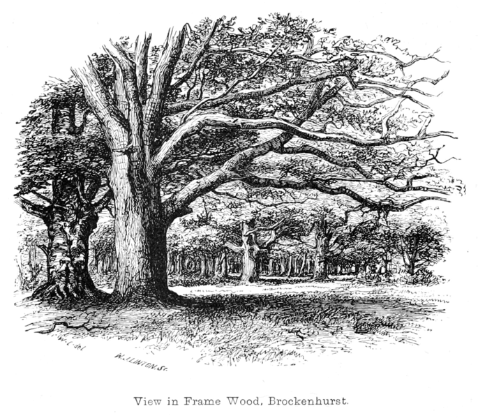 File:The New Forest its history and its scenery - page 074.png