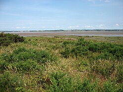 The Solway Firth at Scargavel Point - geograph.org.uk - 3590873.jpg