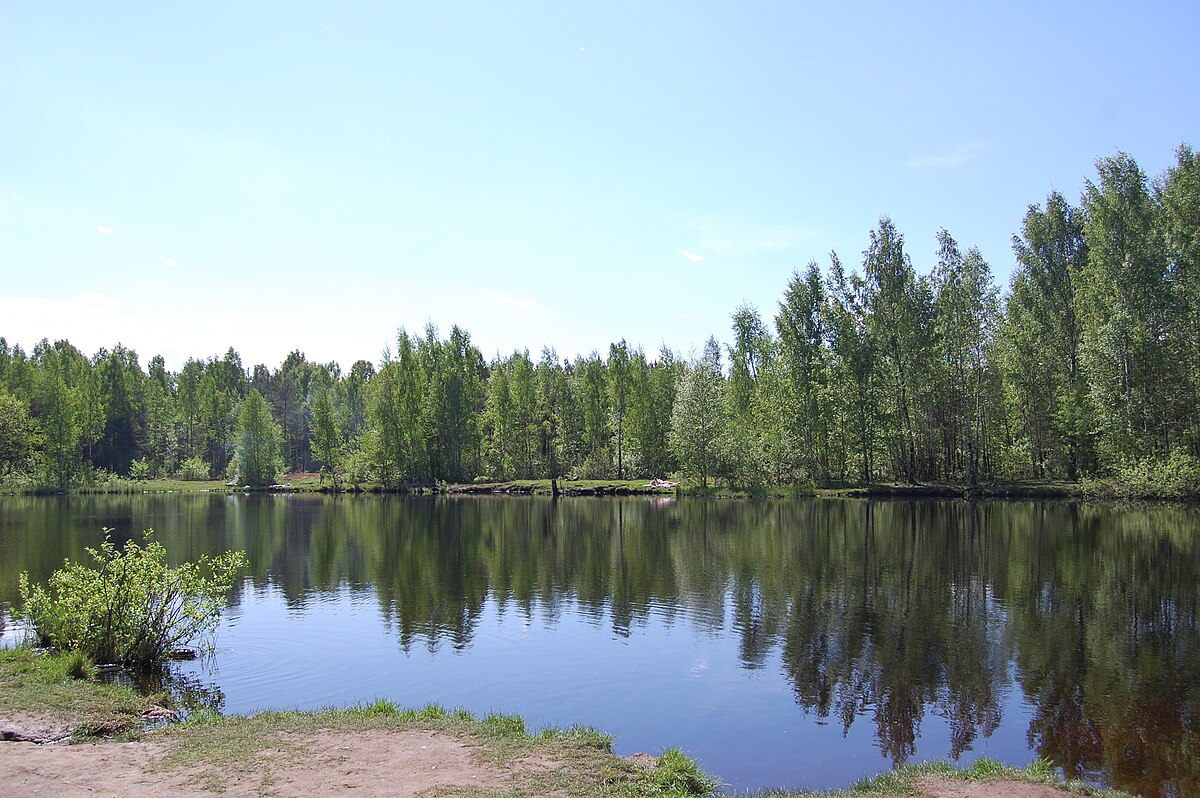 Парк сосновка санкт петербург фото