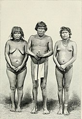 A group of Warao people in 1882. The earth and its inhabitants (1882) (14775021454).jpg