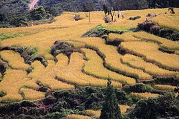 Bhutan