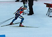 Tobias Arwidson at Biathlon WC 2015 Nové Město.jpg