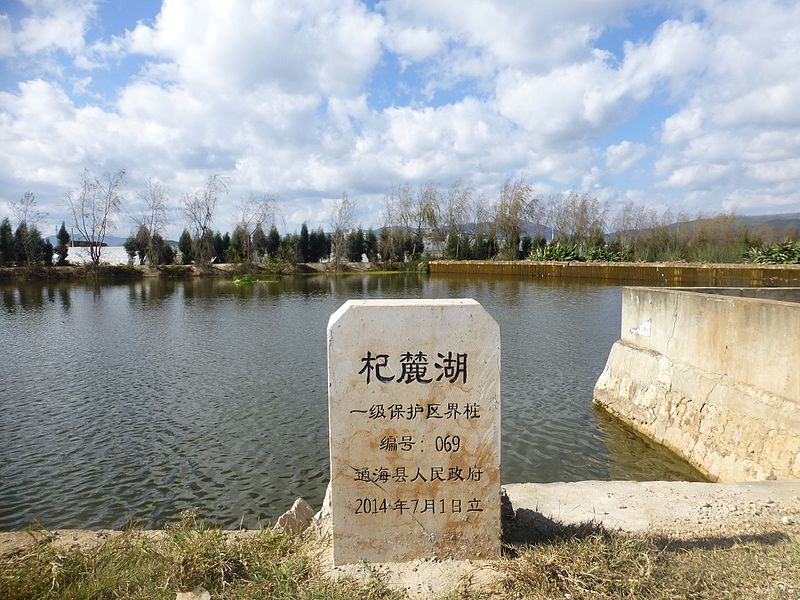 File:Tonghai County - Qilu Lake - P1360274.JPG