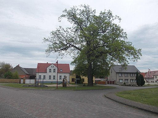 TornauPldF