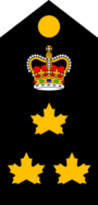 Policía de Toronto - Jefe de Policía (SB).png