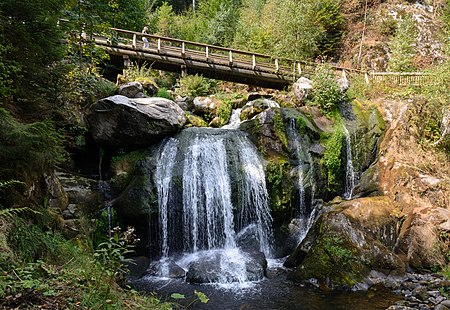 Triberger Wasserfälle 20180806 03