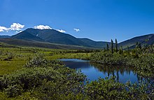 Tundra landscape and a pond near the confluence of Wolf Creek and Firth River, with mountains in the background, in Ivvavik National Park Tundra landscape with mountains and small pond, Ivvavik National Park, YT.jpg