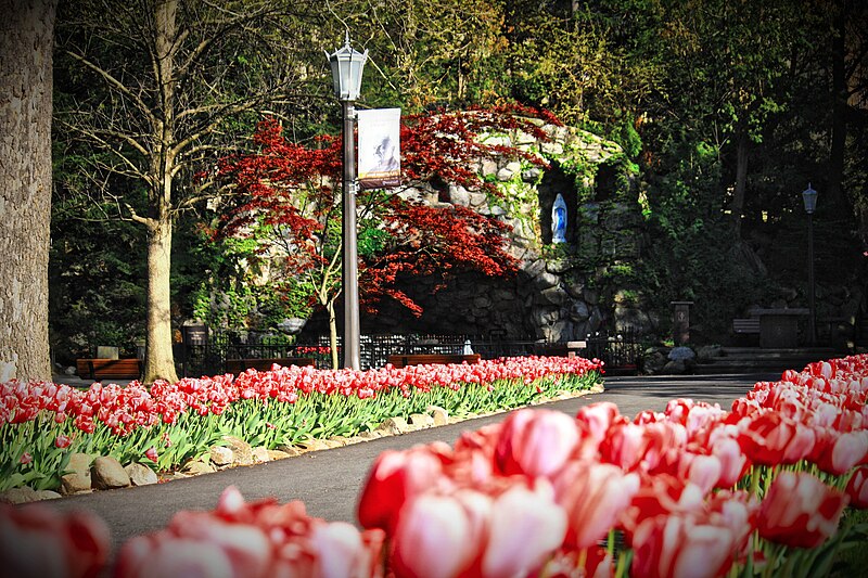 File:University of Notre Dame Grotto.JPG