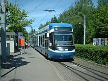 VBZ Cobra Milchbuck.JPG