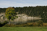 Lac de Joux